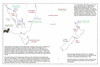 kin120 australia to nz_thumb.gif
